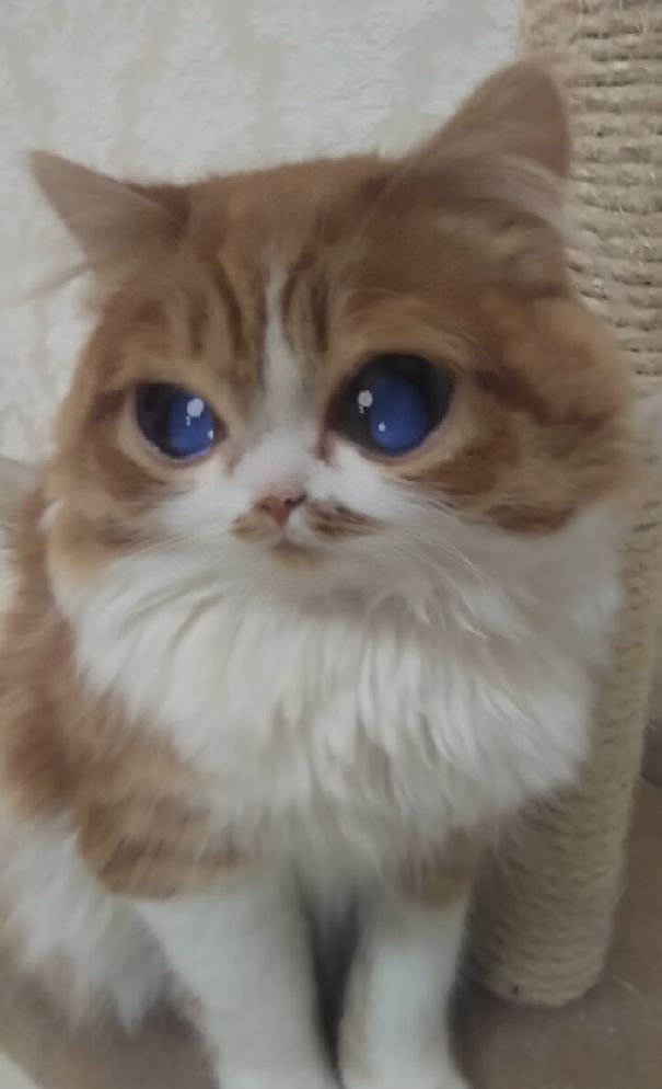 So I Was Babysitting This Cutie...