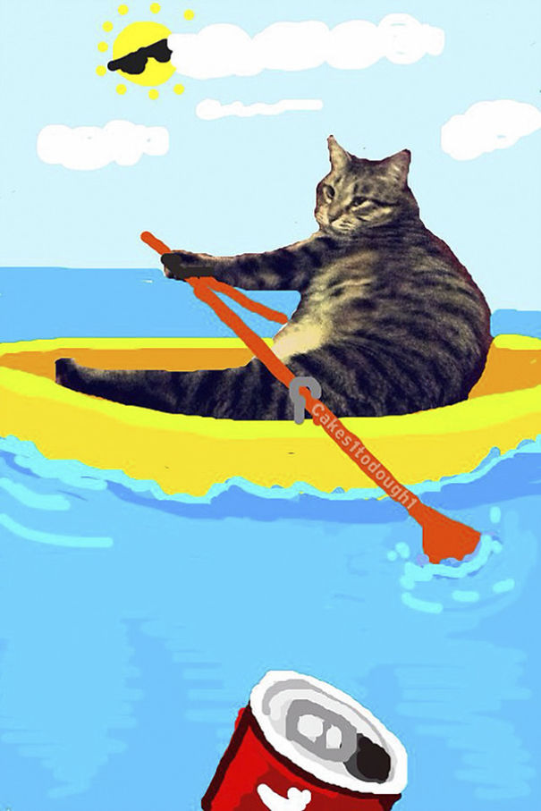 Snapchat + Cats = Snapcats