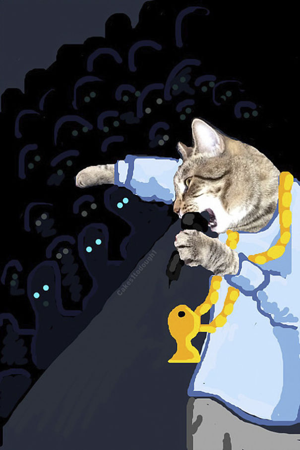 Snapchat + Cats = Snapcats