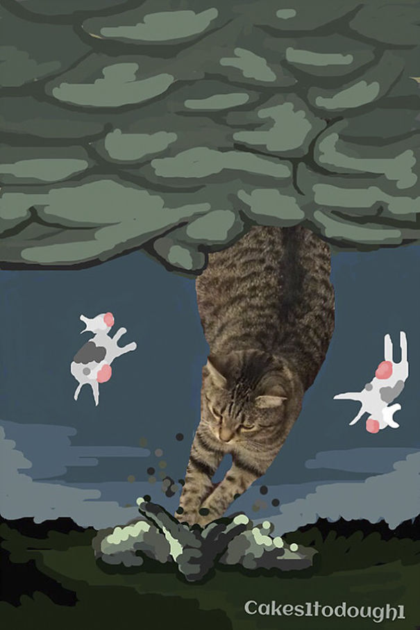 Snapchat + Cats = Snapcats