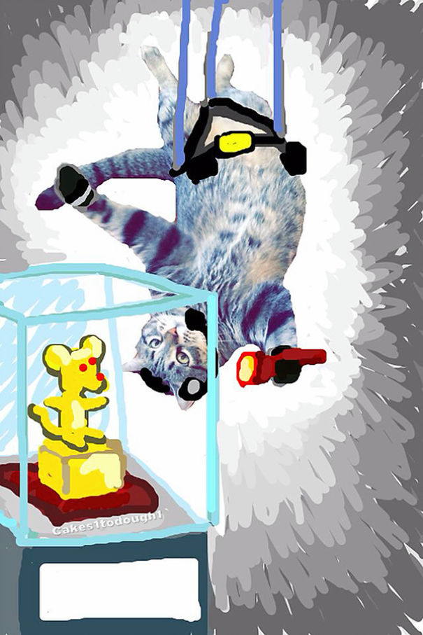 Snapchat + Cats = Snapcats