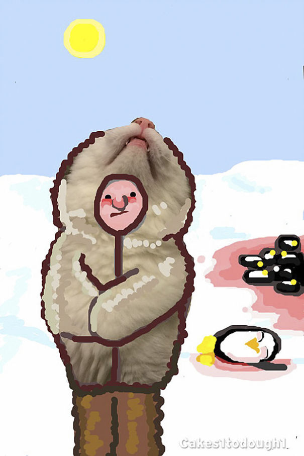 Snapchat + Cats = Snapcats