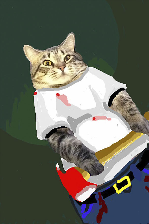 Snapchat + Cats = Snapcats