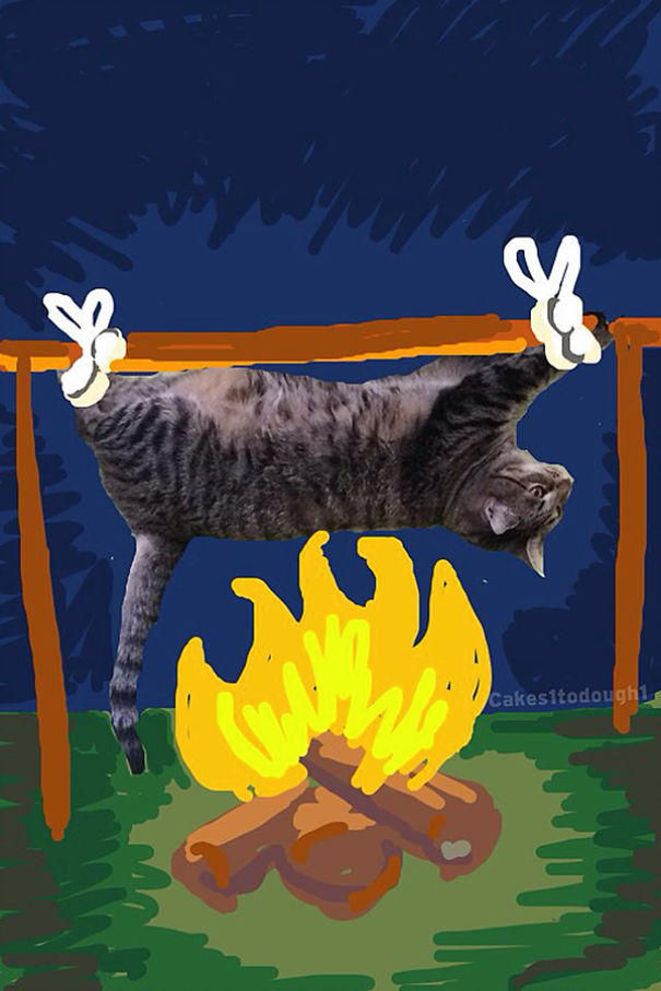 Snapchat + Cats = Snapcats