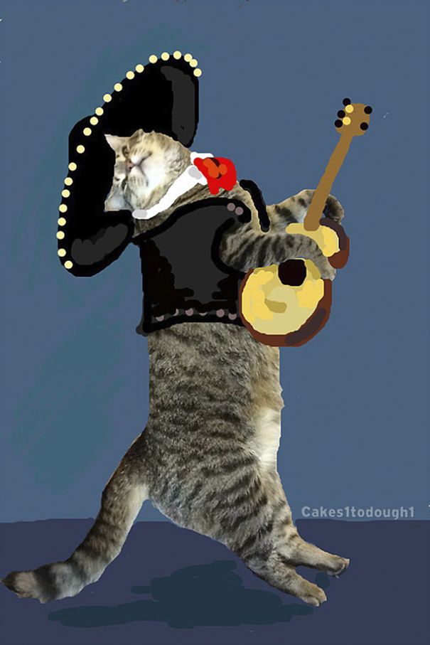 Snapchat + Cats = Snapcats