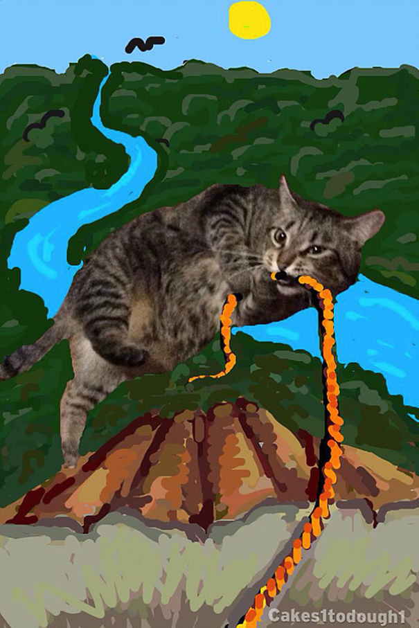 Snapchat + Cats = Snapcats