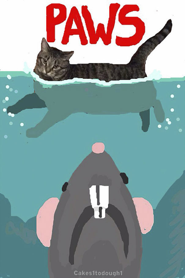 Snapchat + Cats = Snapcats