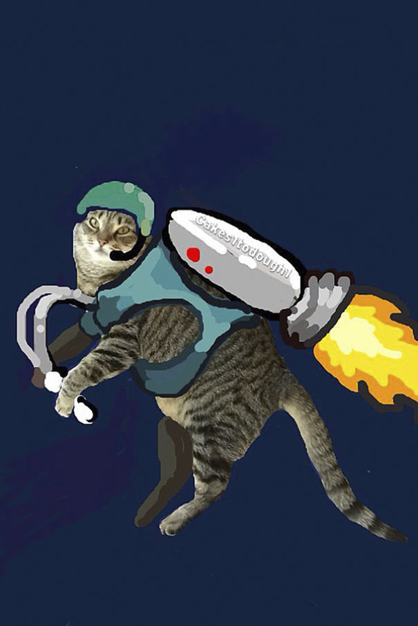 Snapchat + Cats = Snapcats