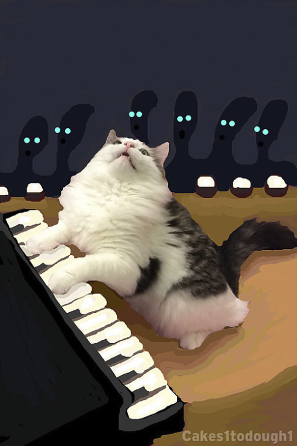 Snapchat + Cats = Snapcats