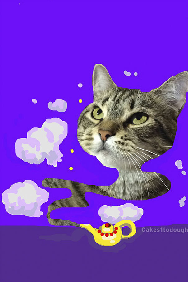 Snapchat + Cats = Snapcats