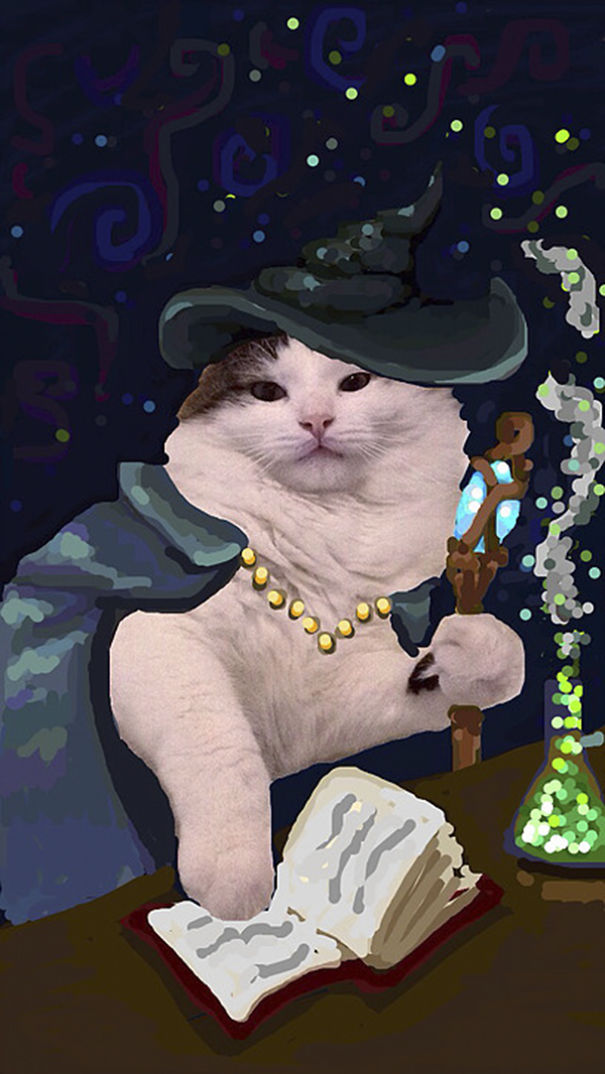 Snapchat + Cats = Snapcats