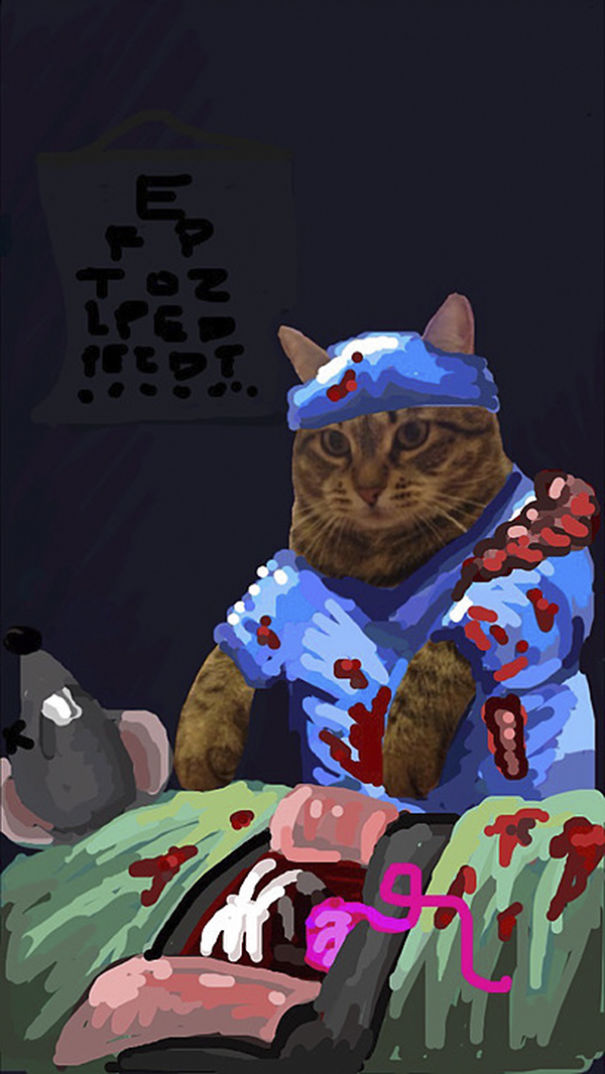 Snapchat + Cats = Snapcats