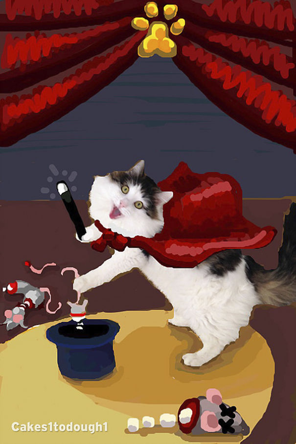 Snapchat + Cats = Snapcats