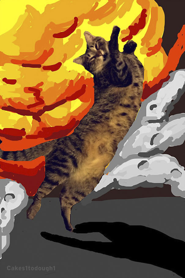 Snapchat + Cats = Snapcats