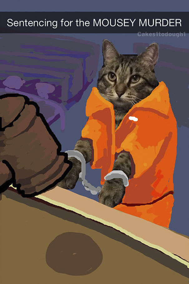 Snapchat + Cats = Snapcats