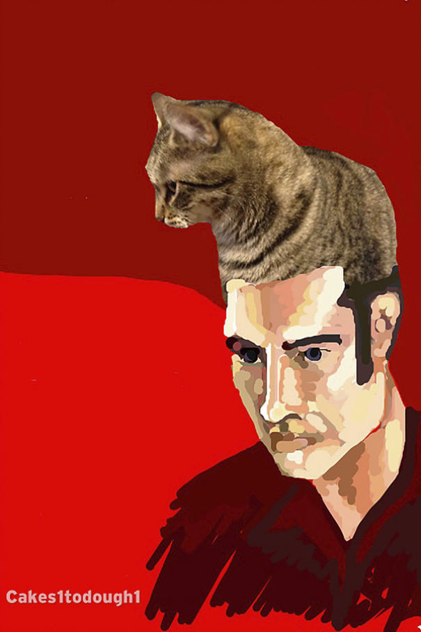 Snapchat + Cats = Snapcats