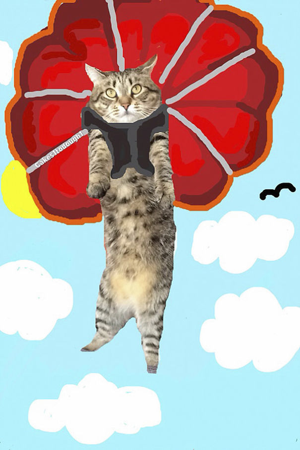 Snapchat + Cats = Snapcats