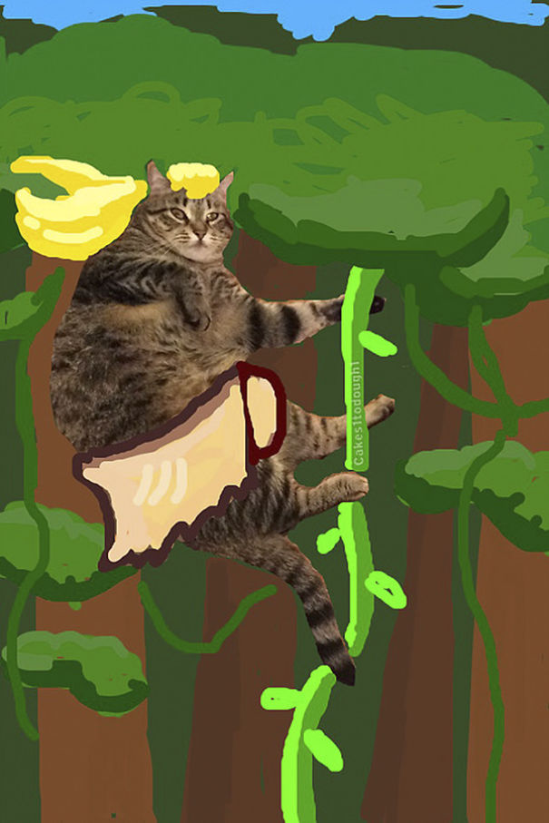 Snapchat + Cats = Snapcats