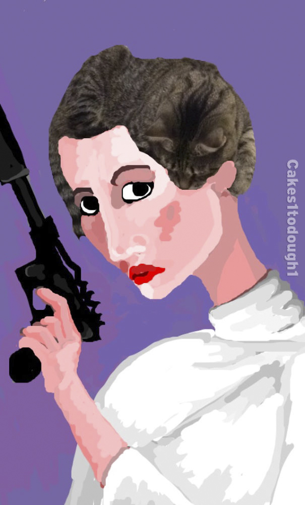 Snapchat + Cats = Snapcats