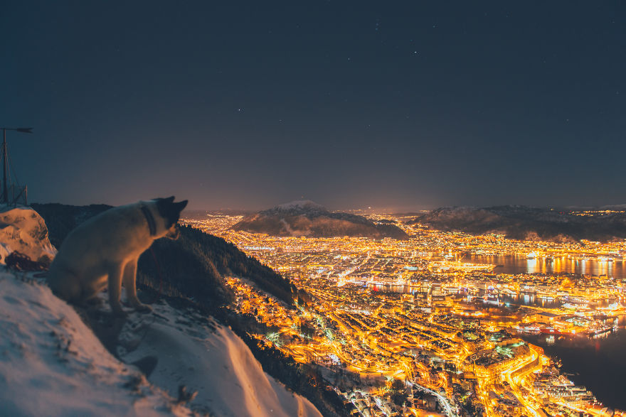 I Quit My Job To Go On Adventures With My Husky (Part 2)