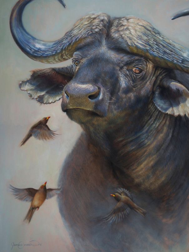 Suggestive Realism: My Oil Paintings Of Wild Animals Suggestive Realism: My Oil Paintings Of Wild Animals