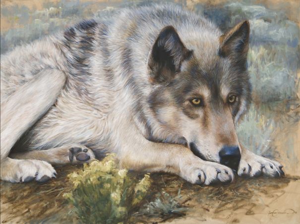 Suggestive Realism: My Oil Paintings Of Wild Animals Suggestive Realism: My Oil Paintings Of Wild Animals