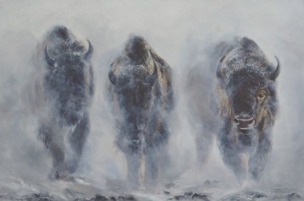Suggestive Realism: My Oil Paintings Of Wild Animals