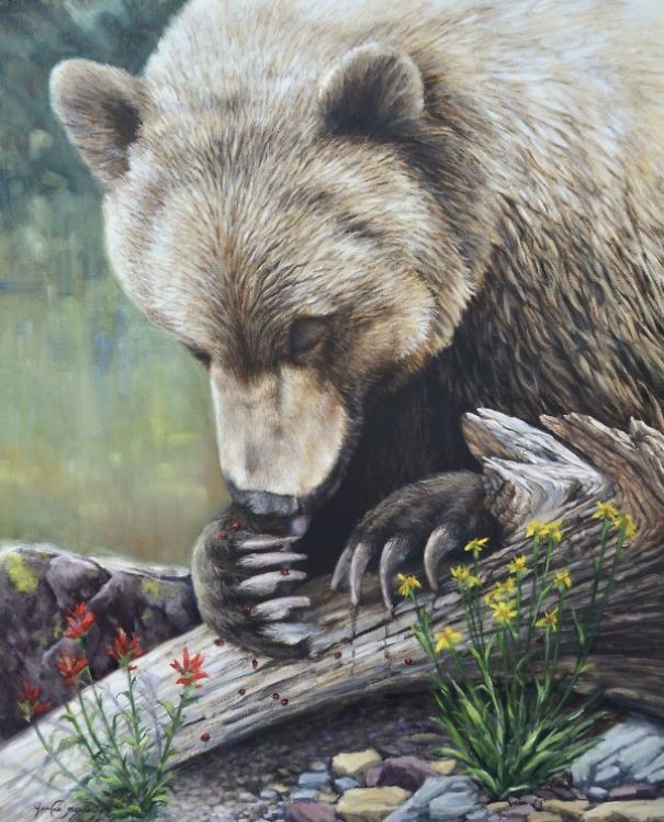 Suggestive Realism: My Oil Paintings Of Wild Animals Suggestive Realism: My Oil Paintings Of Wild Animals