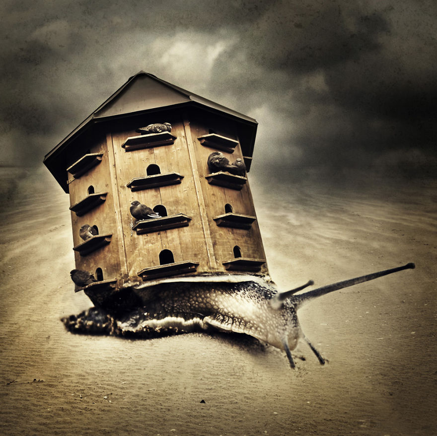 I Create Surreal Photo Manipulations Of Animals