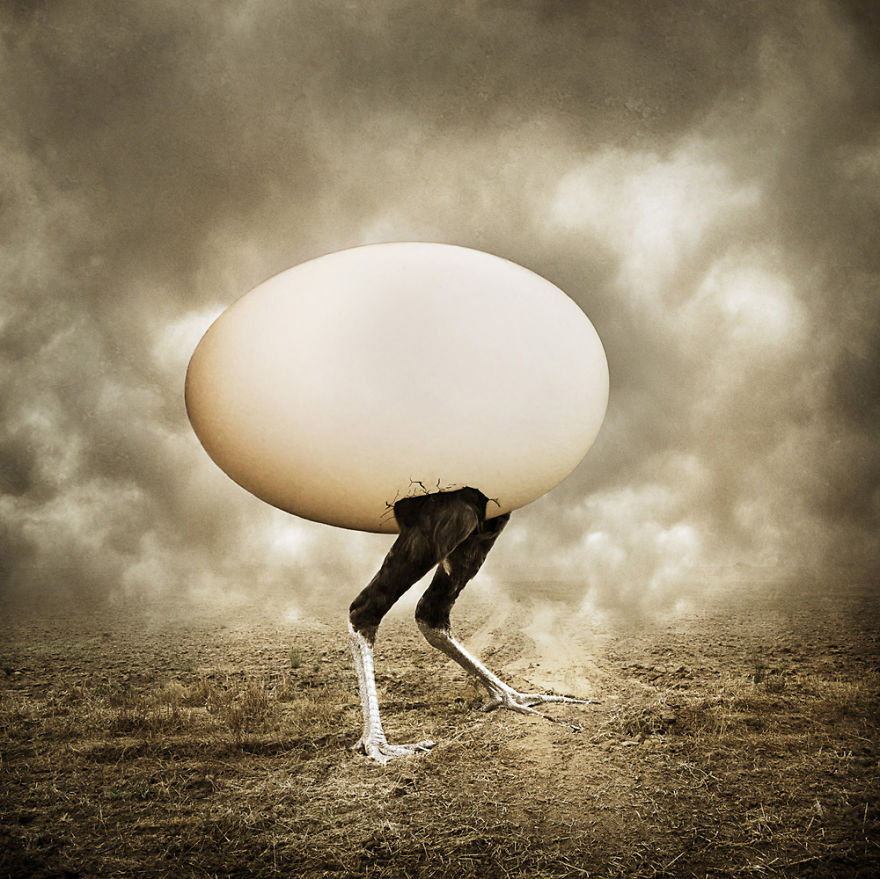 I Create Surreal Photo Manipulations Of Animals