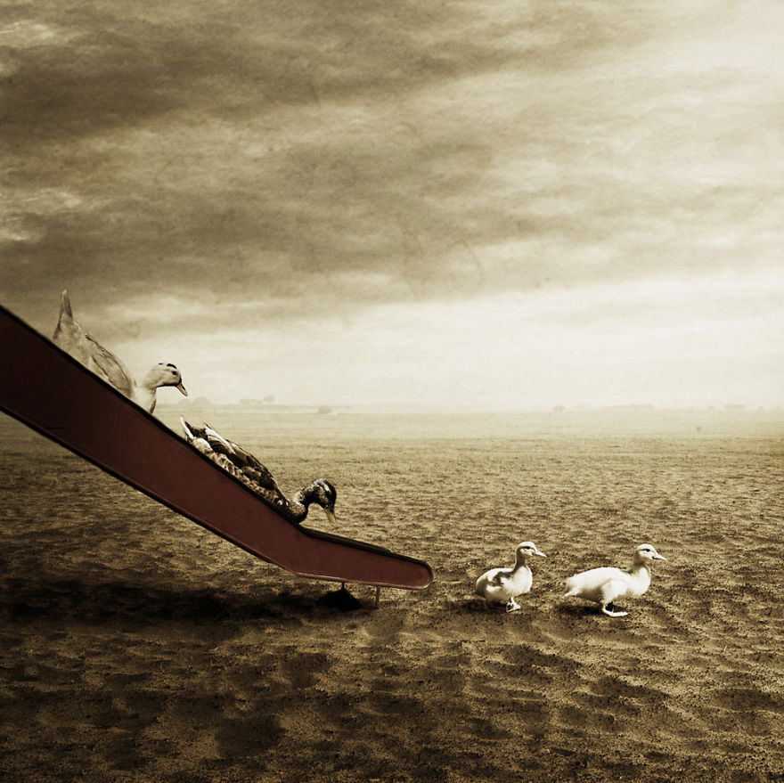 I Create Surreal Photo Manipulations Of Animals