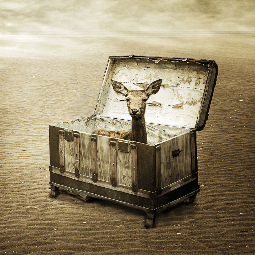 I Create Surreal Photo Manipulations Of Animals