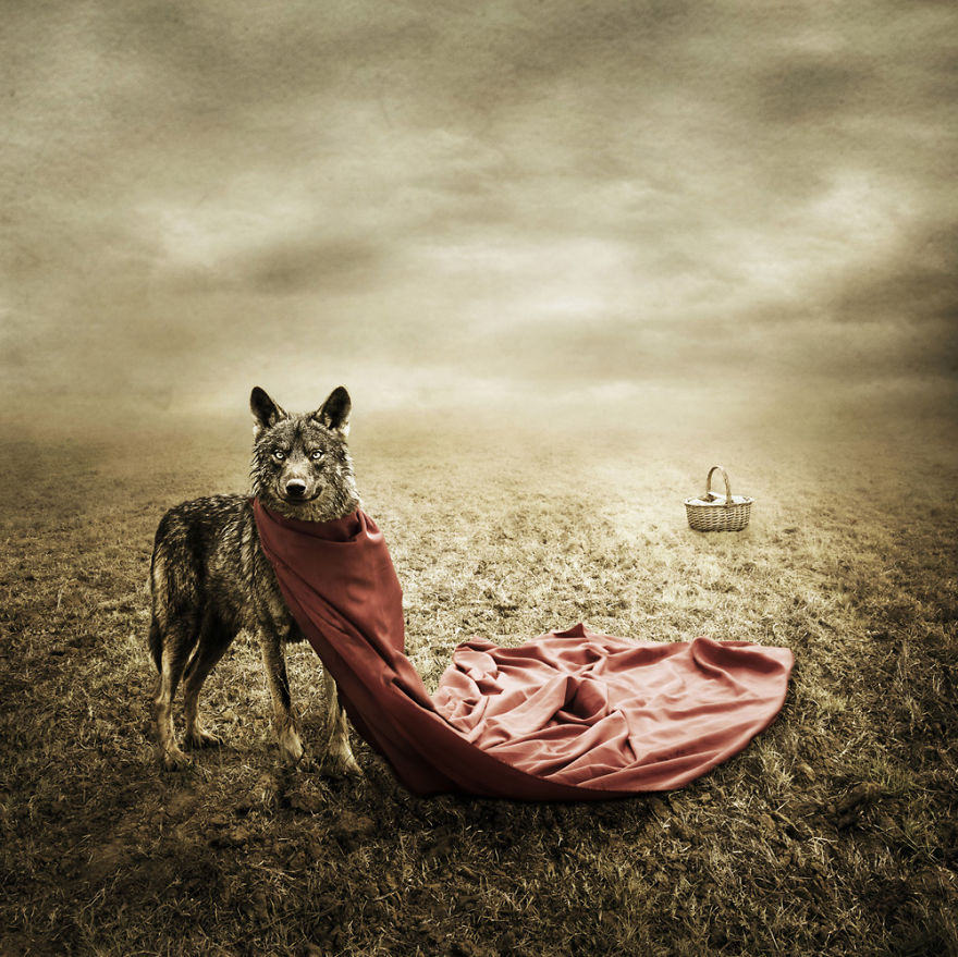 I Create Surreal Photo Manipulations Of Animals