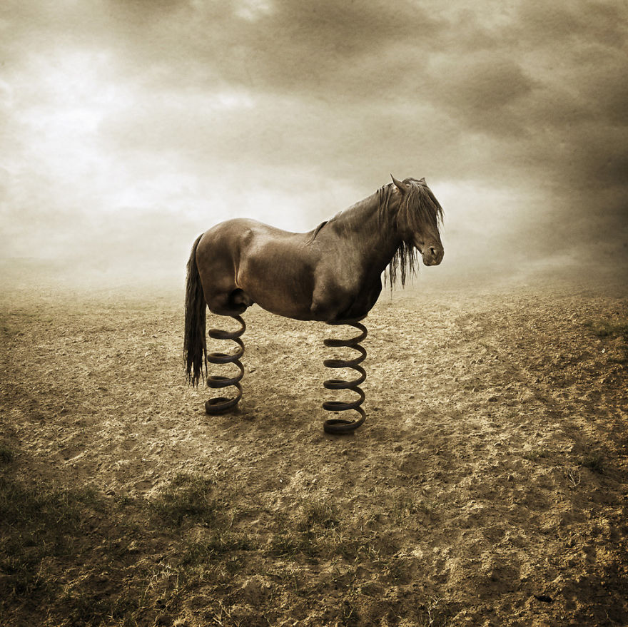 I Create Surreal Photo Manipulations Of Animals