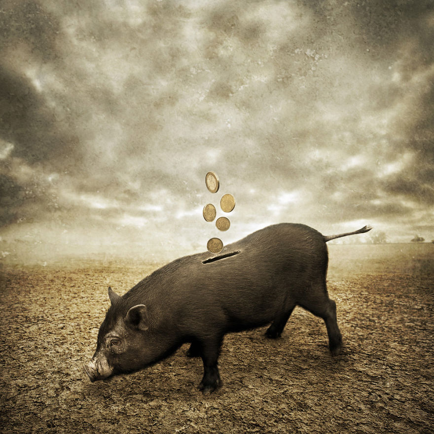 I Create Surreal Photo Manipulations Of Animals