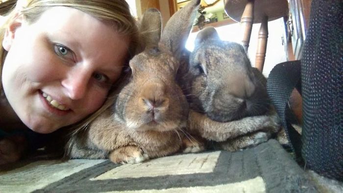 After The Death Of My Mother, I Discovered The Power Of Rabbit Therapy After The Death Of My Mother, I Discovered The Power Of Rabbit Therapy