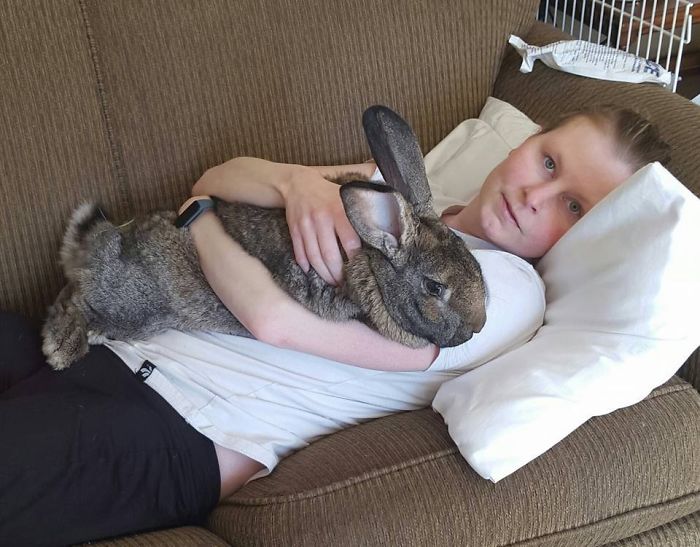 After The Death Of My Mother, I Discovered The Power Of Rabbit Therapy