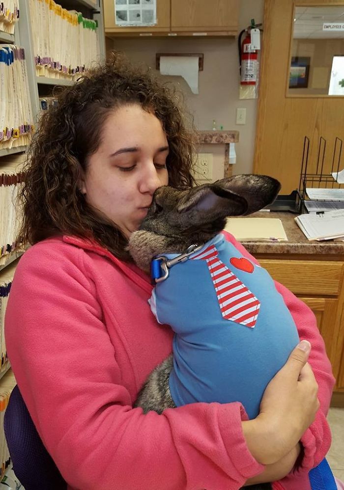 After The Death Of My Mother, I Discovered The Power Of Rabbit Therapy After The Death Of My Mother, I Discovered The Power Of Rabbit Therapy