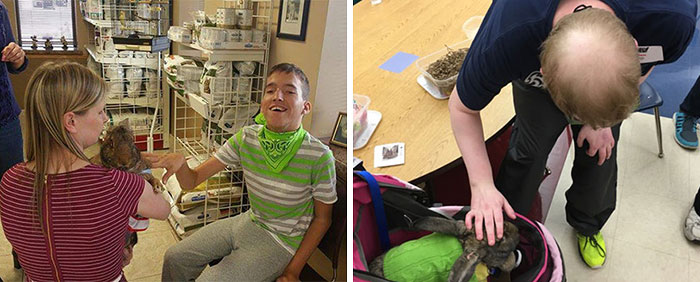 After The Death Of My Mother, I Discovered The Power Of Rabbit Therapy