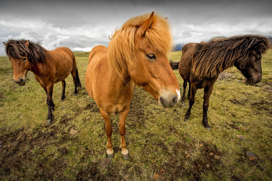 The Unique Beauty Of Iceland Left Me Both Lost And Found As A Photographer