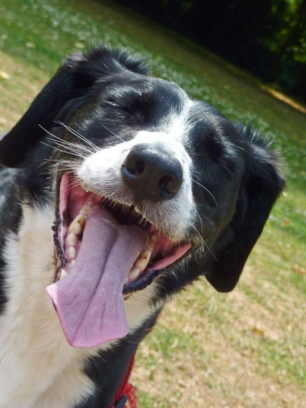 Tina The Sprolly Loves A Good Day At The Park