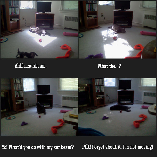 Tommy And His Sunbeam.