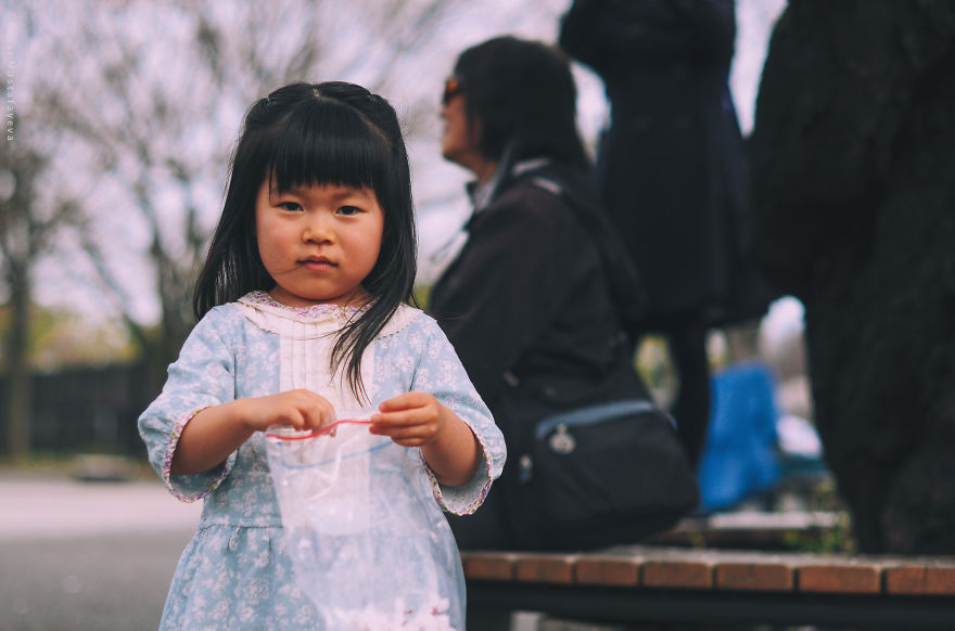 I Was Lucky To Capture The People Of Tokyo In The Boom Of Cherry Trees Blossoming I Was Lucky To Capture The People Of Tokyo In The Boom Of Cherry Trees Blossoming