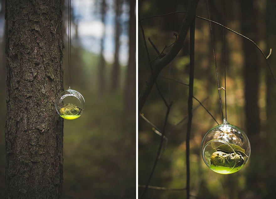 We Made Witch’s Cucumbers