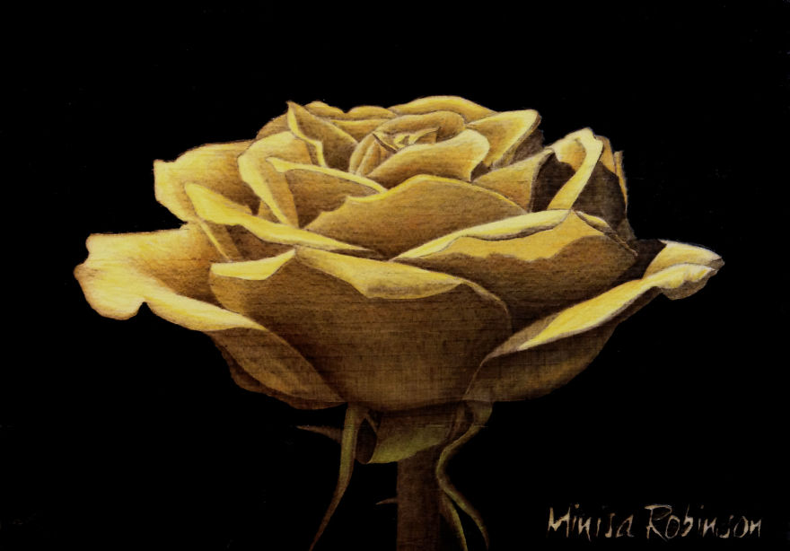 I Create Realistic Woodburnings With A Simple Tool I Create Realistic Woodburnings With A Simple Tool