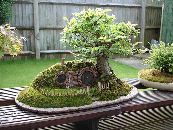 Bonsai Hobbit Hole
