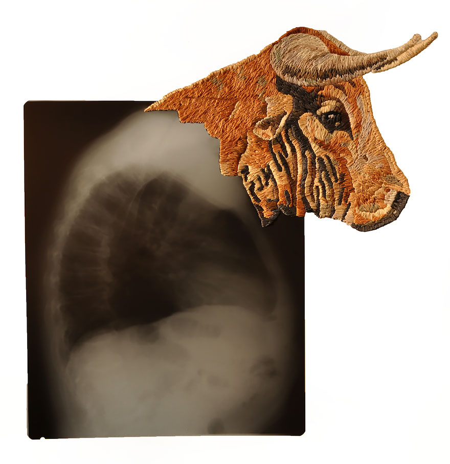 Embroidered X-ray Film By Matthew Cox