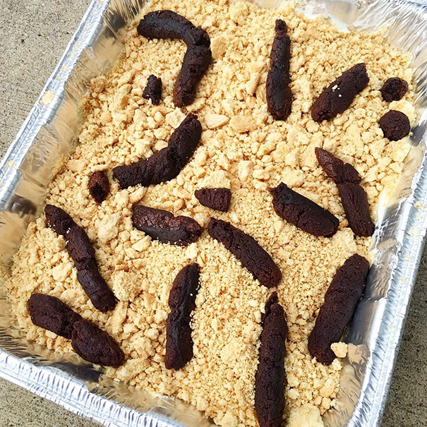 Brownies Make The Best Fake Animal Poop!