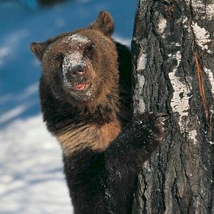 originalpatricia avatar