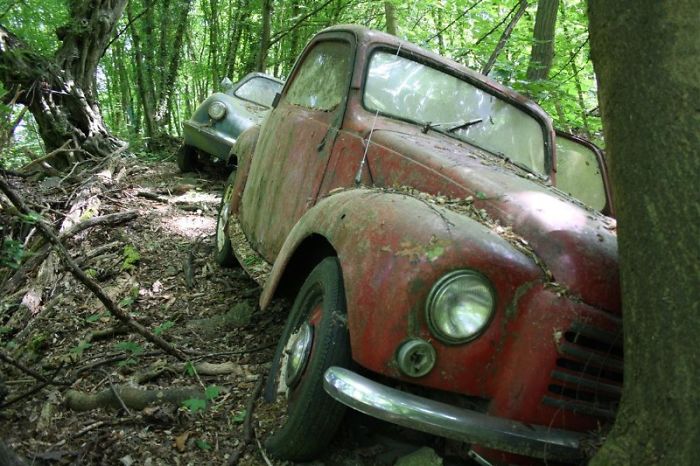 I Found An Amazing Vintage Cars Museum With Exhibits Overtaken By Nature I Found An Amazing Vintage Cars Museum With Exhibits Overtaken By Nature
